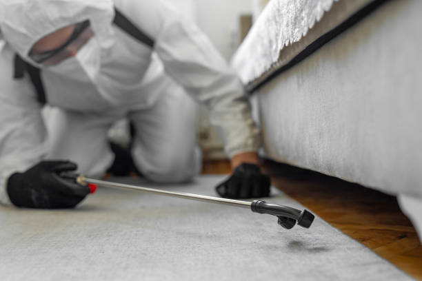 Professional Mosquito Control technician working in Schofield, WI