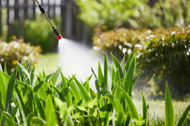 24/7 Emergency Mosquito Control experts in Schofield, WI